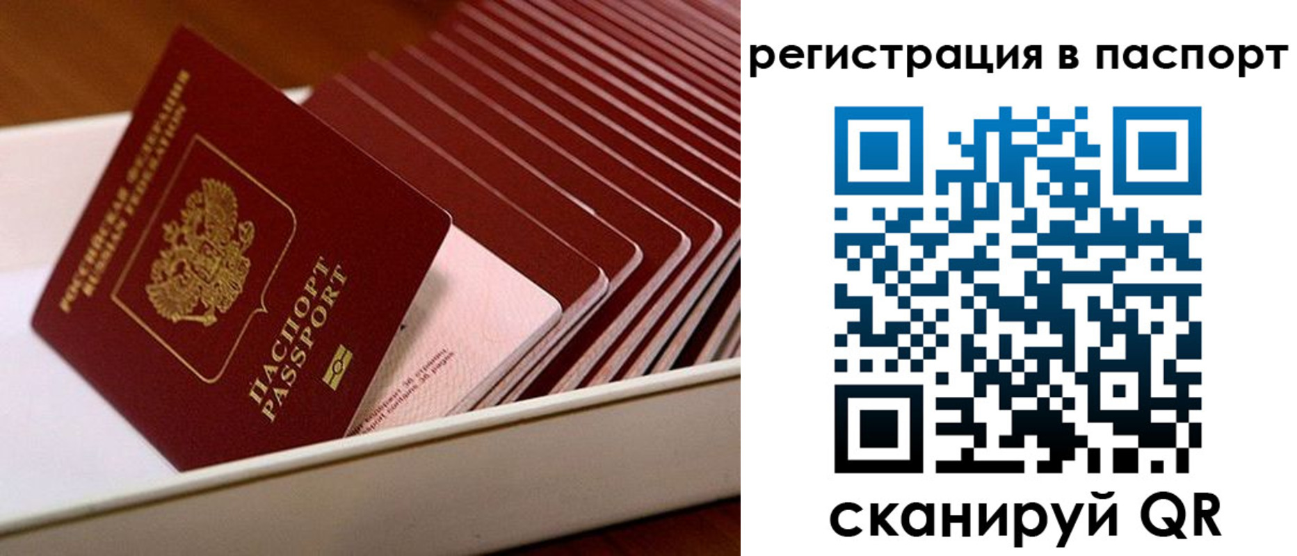 форма 3 в Оленегорске